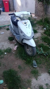 ماكس • نضيفه شغاله • حله