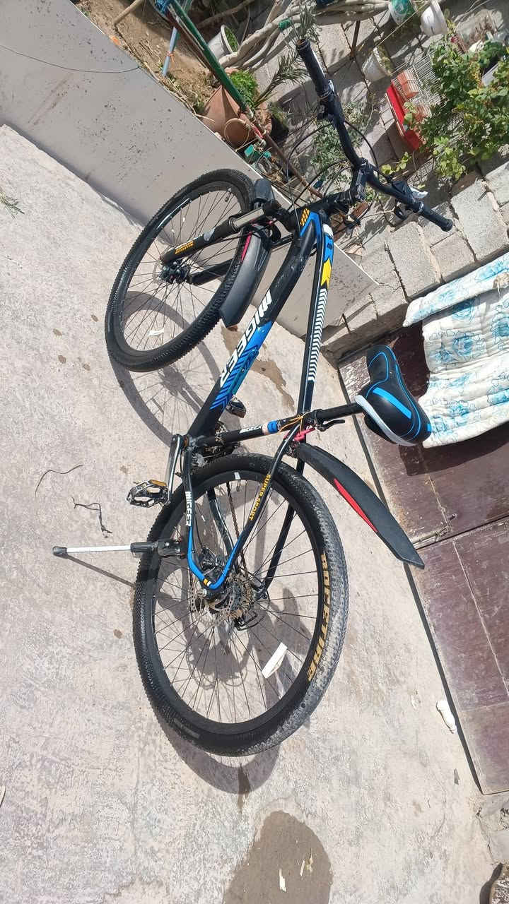 بايسكل جبلي للبيع 
مكاني الدوره سعره 100


**إذا كنت صاحب هذا الإعلان وتريد حذفه لأي سبب، رجاءا أرسل رسالة إلى الدعم الفني**