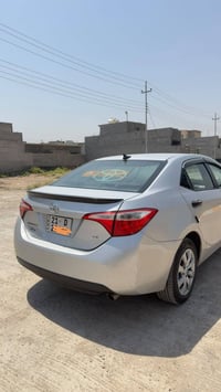 كورلا • ٢٠١٩ • وارد امريكي