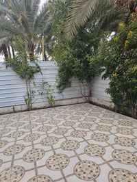 مقابل فندق بارون • ٦٠٠م • طابو زراعي