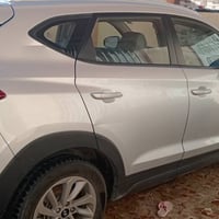 توسان أمريكي • ٢٠١٦ • غرق