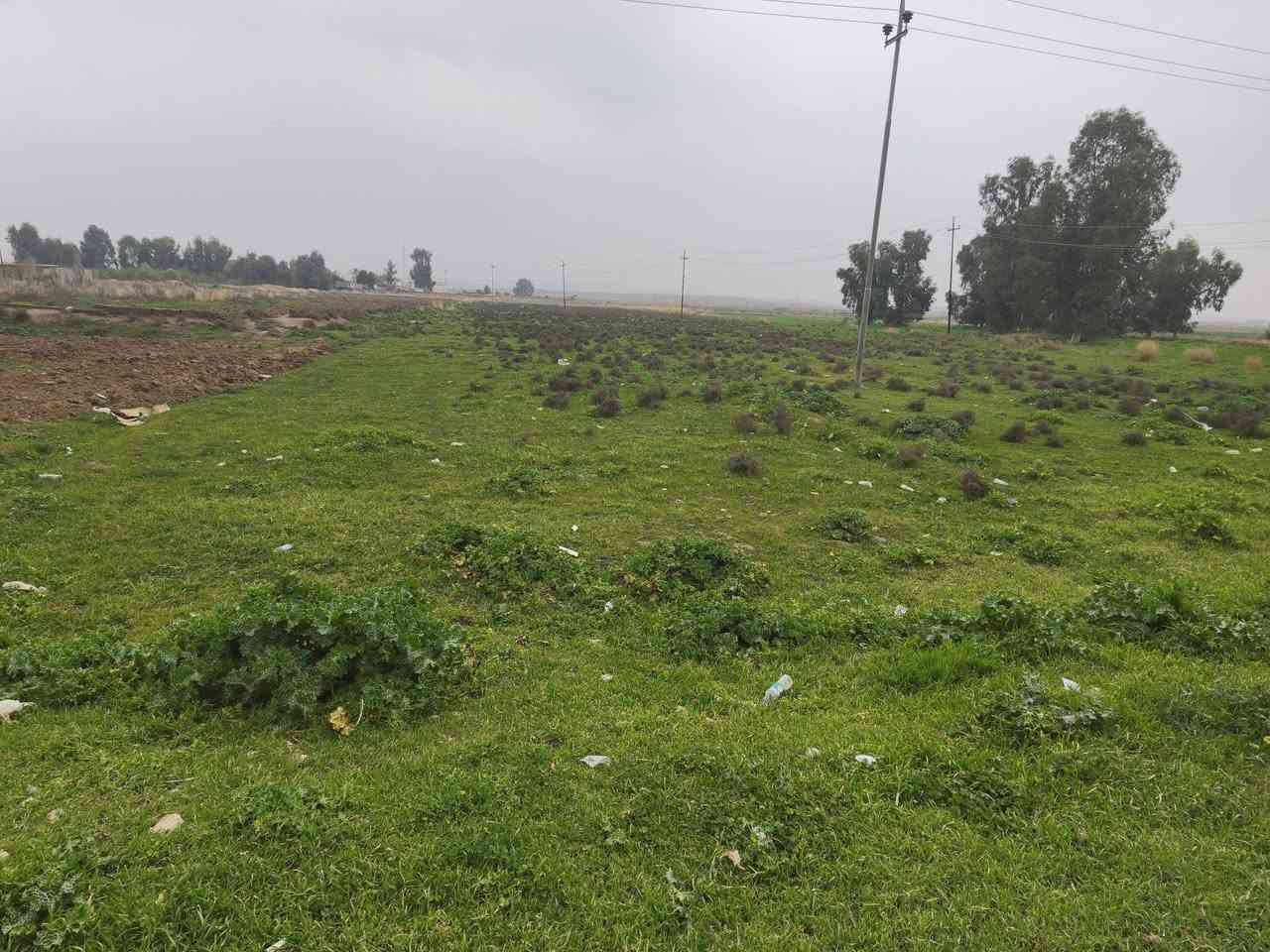 سلام عليكم
كاع زراعي للبيع 4 دوانم نص عل طريق خانقين كلار  مكان ميخاس عل شارع عام 
***********
