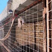 قفص • تفصخه