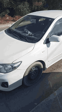 السلام عليكم للبيع فقط كورلارقم بغداد إنكليزي موديل 11ماشيه 102مكفوله كفاله عامه من الظربه والصبغ بيهه فقط رصعات موجود بل سونار خليجي مكينه كير تبريد تدفه صدر حداديه كله جديد السعر135 العنوان بغداد الراشديه مقابيل مرور الحسنيه رقم الهاتف *********** غير متواجد على الفيس
