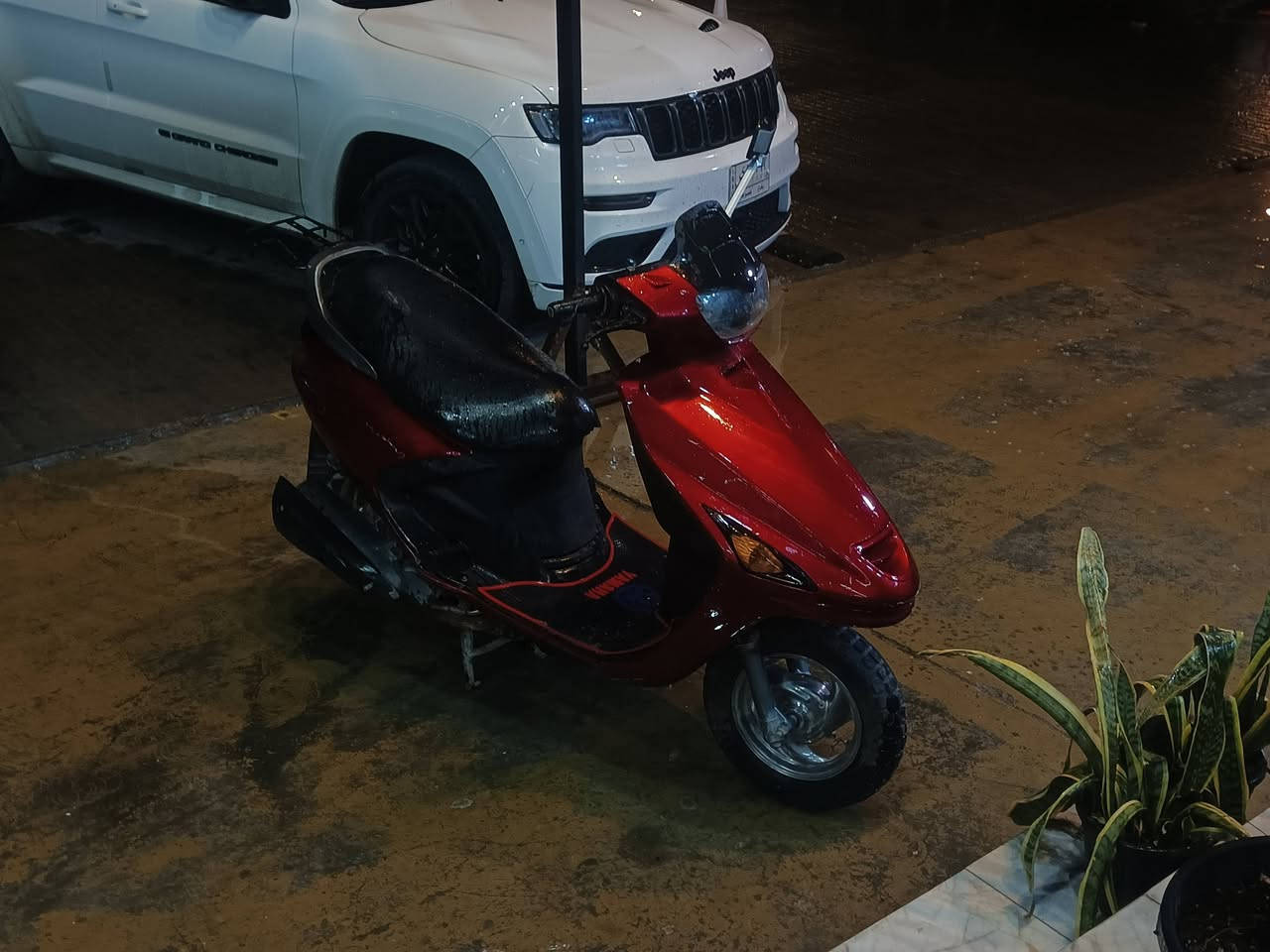 دراجة فراشه للبيع حك 375 الف 
على الفحص المحرك ما مفتوح و السعر بي مجال بسيط


**إذا كنت صاحب هذا الإعلان وتريد حذفه لأي سبب، رجاءا أرسل رسالة إلى الدعم الفني**