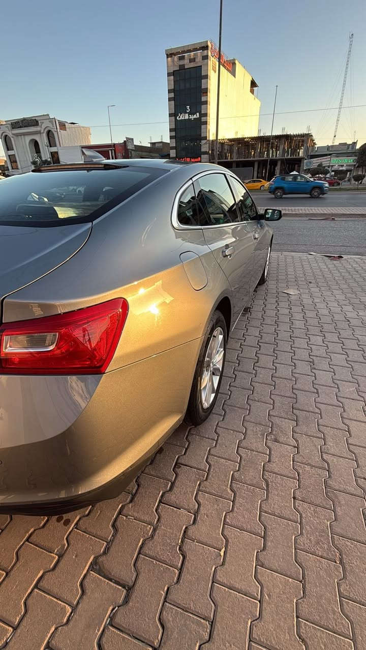 ماليبوLT للبيع وارد أمريكي موديل 2024  بدون حادث بدون ايرباك بدون اي شي السيارة جاهزة مرقمه اربيل ترقيم جديد بسمي ماشيه 48الف مايل السياره كلش نظيفه مواصفات السياره

1.لد نهاري

2.محرك 1.5 توربو

3.حساس خلفي

4.كامرا خلفيه

5.ويل كب مع تخم تاير الشركه

6.رادار أمامي تحديد مسار

7.تدفئه كشنات

8.كروس سرعه

9.سايد بريك بصمه

10.بصمة تشغيل وأبواب

11.كشن السائق كهرباء

12.تحكمات ستيرن جهتين

السياره كلش نظيفه موجوده بكركوك 

 سعرها145وبيها شويه مجال

 يمكن الاتصال ***********

‭0788 199 1531‬
