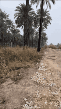 السلام عليكم 
يتوفر ١٩٠٠ متر طابو ٢٥ تحويل مباشر بلطابو
وجه الأرض ٢٣ متر
شارع عرضه ١٢ متر الخدمات كامله
استفسار
***********
 #مزارع #سلمان_باك_المدائن_بغداد
