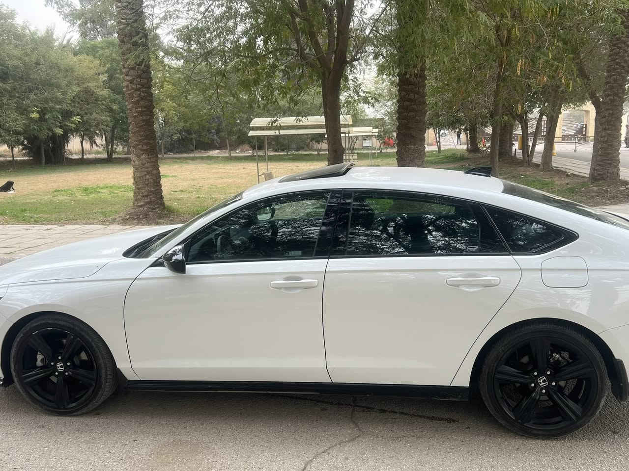 ‏ Honda Accord Hybrid 2024 Sport L
موديل :- 2024
♦️السيارة جاهزة بدون اي نقص
لون :- ابيض
قوة المحرك :- 2.0 Hybrid
عداد المسافات :- 14,985 ميل
مواصفات السيارة :-  Sport - L
♦️عدد المقاعد :- 5 مقاعد 
♦️بصمه عدد 1
♦️ شاشة نفكيشن 
♦️ تحكم مسجل 
♦️ تحكم سرعة 
♦️ بصمة تشغيل 
♦️ دخول ذكي 
♦️ لايت زنون 
♦️ رادار امامي 
♦️ رادار تحديد مسار 
♦️ كامرا خلفية 
♦️ فتحة سقف 
♦️ اوتو بارك 
♦️ هاند بريك بصمة 
♦️ درايف مود 
♦️ مثبت سرعة 
♦️ حساس مسافة امان 
♦️ اوامر صوتية 
♦️ مقاعد كهربائية 
♦️ مقاعد جلد  
♦️ مرايات كهربائية 
♦️نظام النقطة العمياء  
🔴🔴 198$ واصل  بغداد 
السعر بي مجال بسيط 
♦️مكان السيارة بغداد/ العامرية
للستفسار ***********
