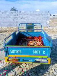 ستوتي • موديل 2018 • أوراق أصلية