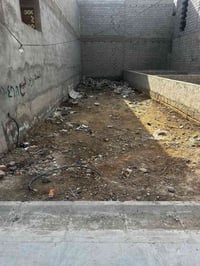 أرض زراعي • رقم ٢٤ • الجزائر