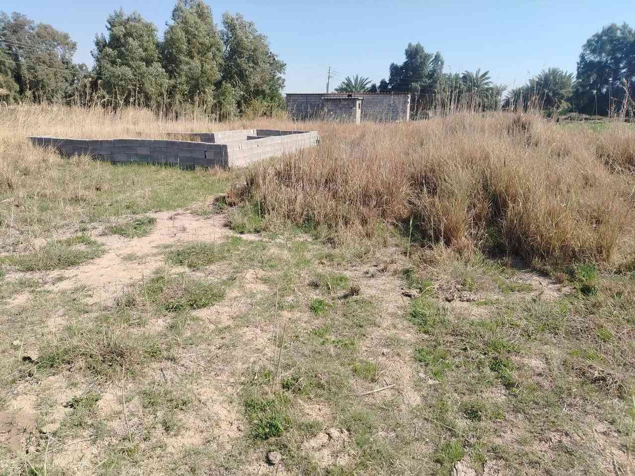 سلام عليكم  قطعه مساحه800م
مكان ممتاز طريق طريق بغداد كوت قريب على حولي
قريب على شارع بغداد ١٥٠ متر او مراوس بيت 
استفسار أكثر  ع خاص


**إذا كنت صاحب هذا الإعلان وتريد حذفه لأي سبب، رجاءا أرسل رسالة إلى الدعم الفني**