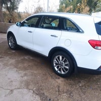 سورنتو • ٢٠١٨ • ٧ راكب