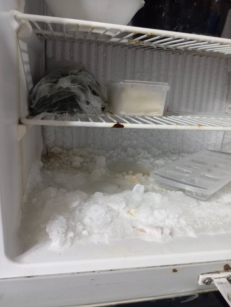 كربلاء طويريج ثلاجات 16 قدم 14 قدم للبيع بيع مستعجل حي العسكري ***********
