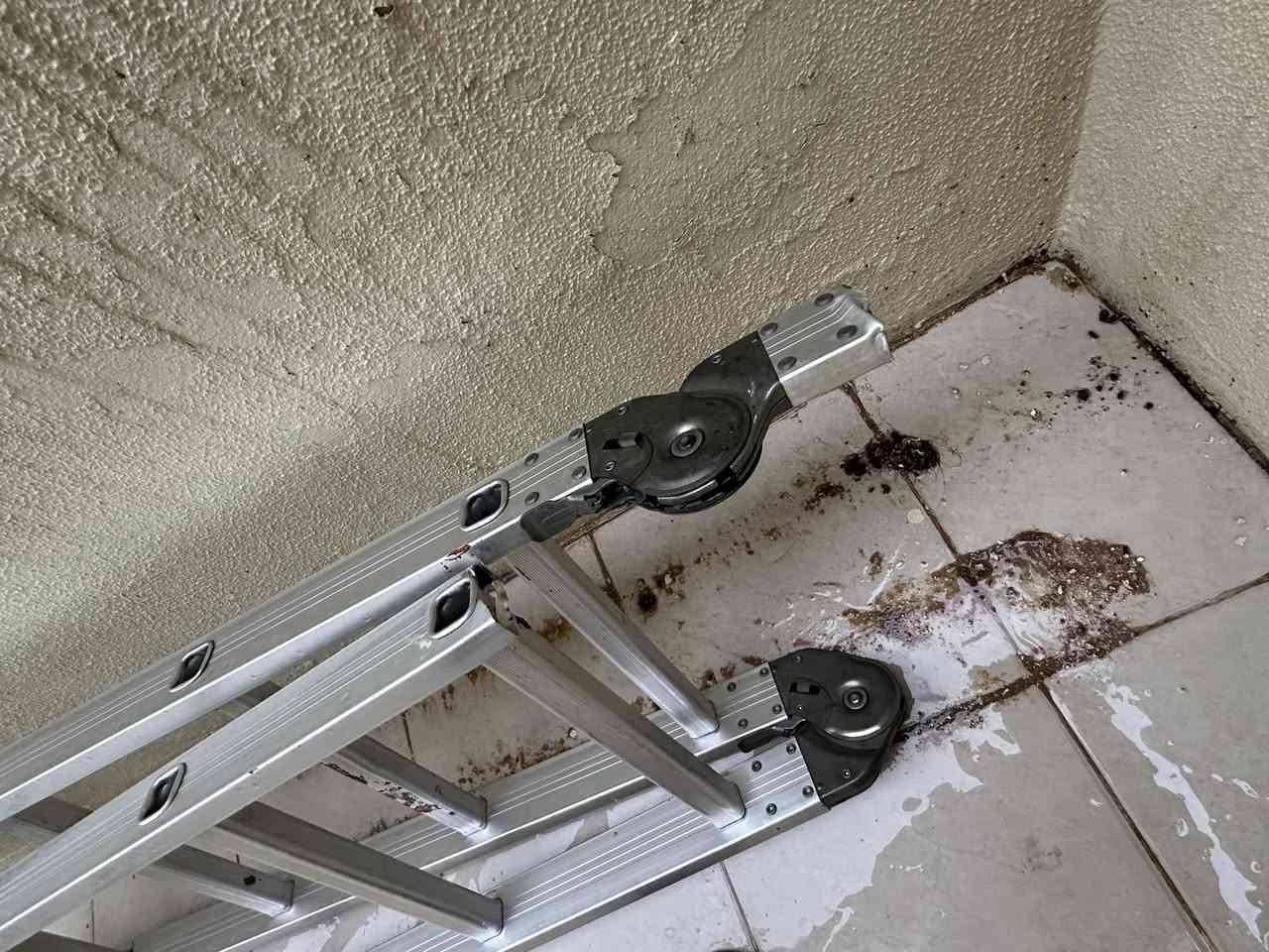 درج للبيع بي كسر مثل ماموضح بالصوره


**إذا كنت صاحب هذا الإعلان وتريد حذفه لأي سبب، رجاءا أرسل رسالة إلى الدعم الفني**