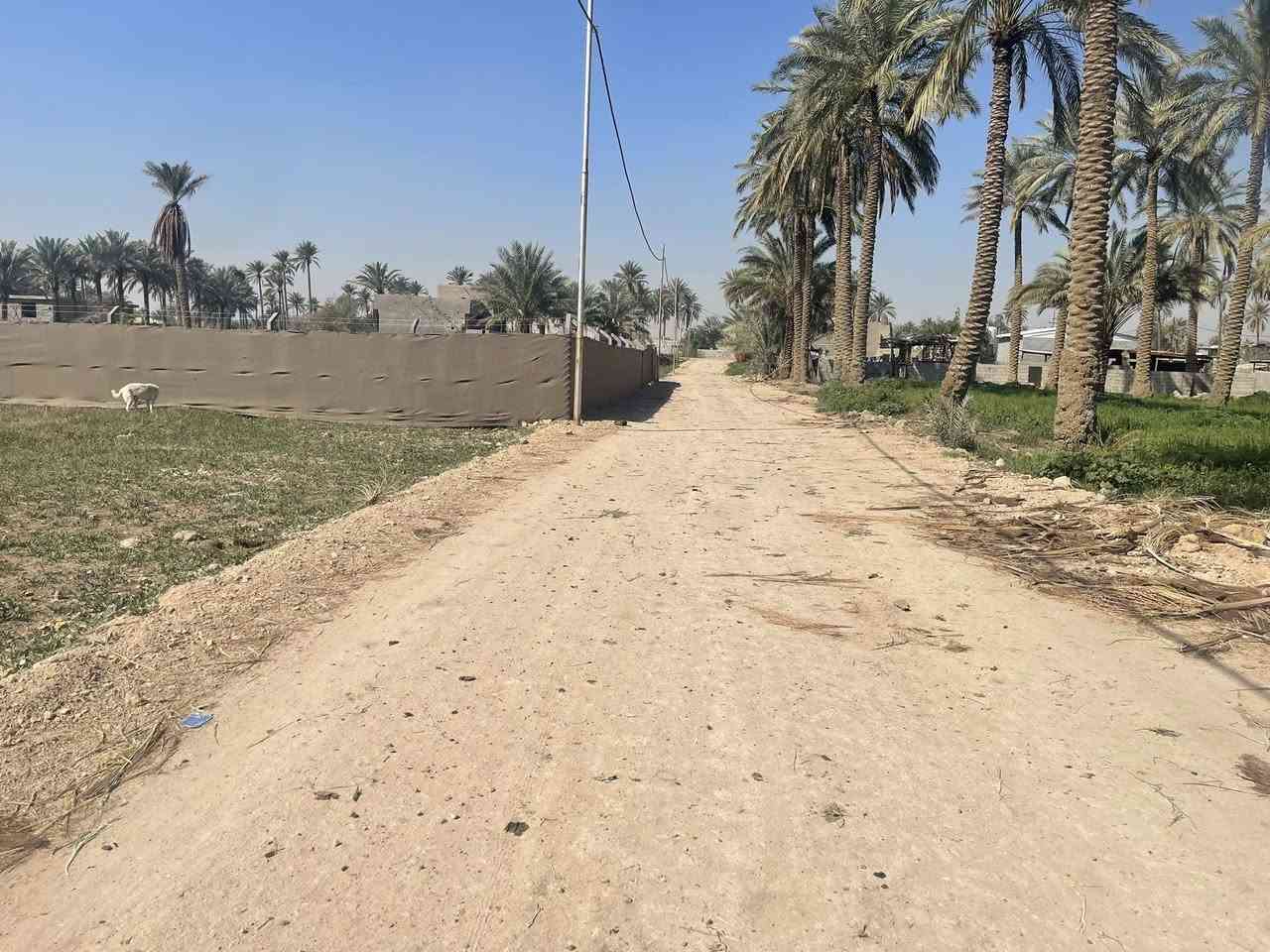 دونم طابو 25 سند تحويل كافه المساحات اسهم باسمك في كربلاء شارع ام ام البنين منطقه الزبيليه كافه الخدمات مدرسه متوسطه ابتدائيه مدرسه الثاني ماله العباس مباشره عالشارع للمعلومات اتصال/*********** /***********📞
