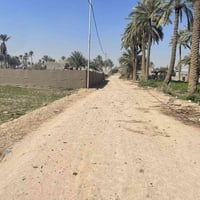 دونم طابو • شارع ام البنين • الزبيليه