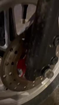 عدلة • معدل فول • كامله