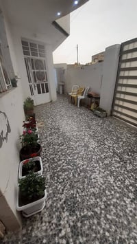 المدان خلف الامام • ١٥٠م • ملك