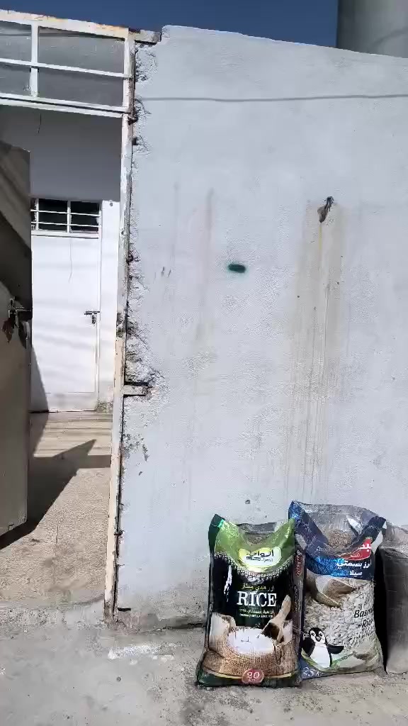 السلام عليكم
عندي بيت هو للبيع وهو للايجار المنطقة وادي حجر المدخل الثاني مقابل استدارة معمل النسيج قرب بيوت الضباط الاتصال عالارقام
***********
***********
