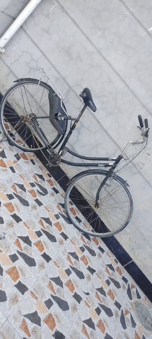 سلام عليكم عندي باسكل للبيع سعر45 بي مجال حجم 27 كلش نضيف في واسط ساكن في صويرة


**إذا كنت صاحب هذا الإعلان وتريد حذفه لأي سبب، رجاءا أرسل رسالة إلى الدعم الفني**