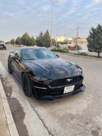 موستنك • ٢٠١٩ • ٤٣الف