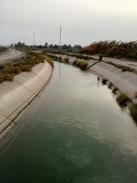 الشيخ عامر التاجي • 8دونم • طابو زراعي