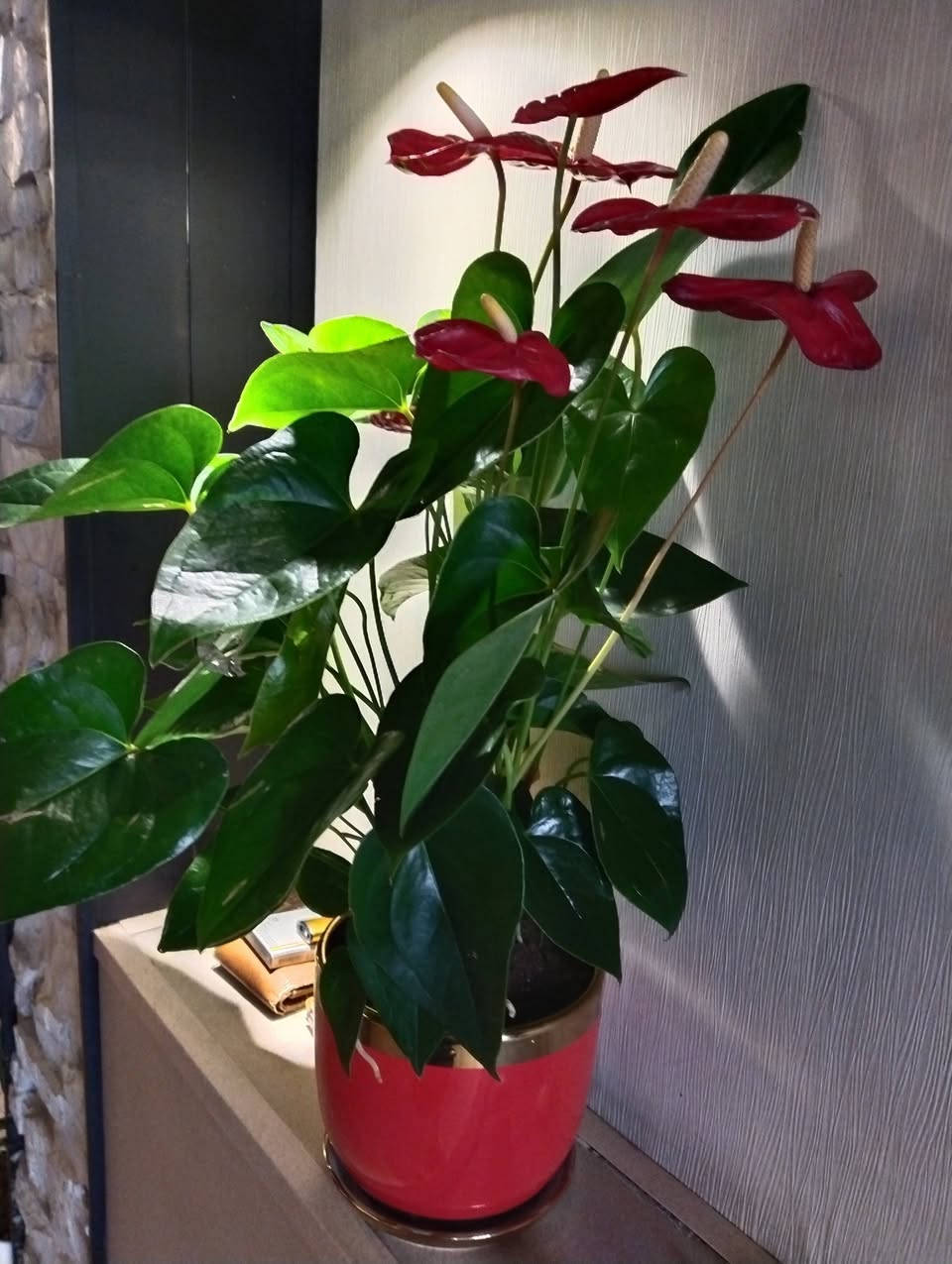 حي الصدرين ،تدريس خاص للمراحل الوزارية بإشراف الأستاذة رباب محمد حسن ***********
