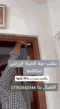 مكافحة الحشرات • نمل أبيض • ضمان ٤ سنوات