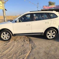 سنتافي • ٢٠٠٩ • رقم اربيل