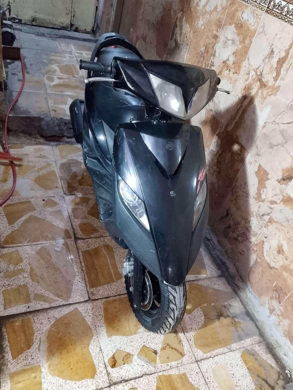 سلام عليكم ماكس ثعلب البيع سعر ٦٠٠وبيه مجال قليل حك جيه‏‪0775 952 7061‬‏
