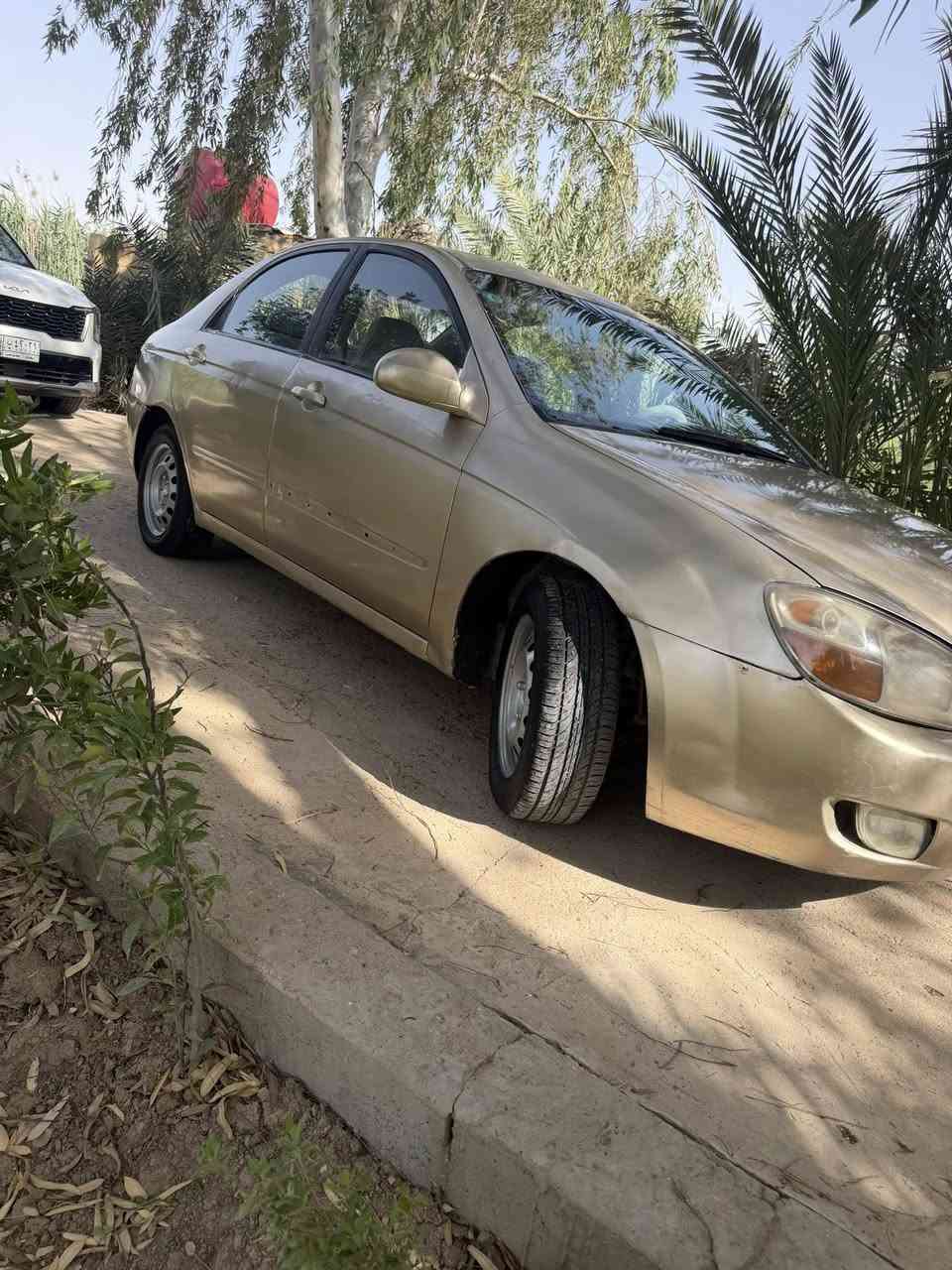 سلام عليكم سبكتره 2007 رقم كربلاء تحويل مباشر كير ومكينه وتبريد شرط تخم تاير دواخل نضيفه صبغ عام بدون دواخل لاشاصي ولا حوض ولا لخد شرط حادثهه ربع جاملق الخلفي السياره بيهه نقوصات بصيطه السعر 58 وبيهه مجال حك جيتك العنوان مشروع لمسيب رقم ***********
