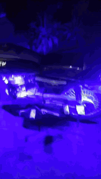 موديل ٢٤ • أوراق اصولي • محاويل