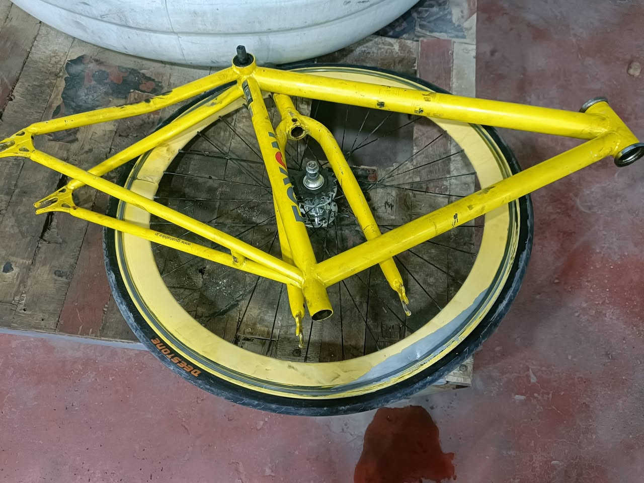 اب30 اريد افلش السوك لسلام عليكم شباب بايسكل سويت بي حادث بايسكل يخبل يلرادله تعديل مايكلف هواي بس اني مالي خلك غراضه كلهه بجيس واصليات وكله شغال ب30الف قفل هيج والله 
البايسكل فكسد شركه فوكسون الكوريه نزلته بيدي من الحاويه مكينتين وللتنبي التاير الامامي مابي شي بس الخلفي يرادله تعديل مايكلف 20الف بس اني مالي خلك 
البايسكل اني حالين مفصخه ردت اصلحه وعفته والله شاهد عليه مامودي المصلح


**إذا كنت صاحب هذا الإعلان وتريد حذفه لأي سبب، رجاءا أرسل رسالة إلى الدعم الفني**