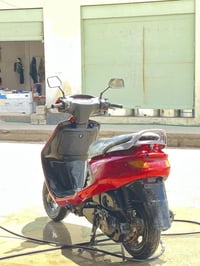 فراشة • معمر • جديد