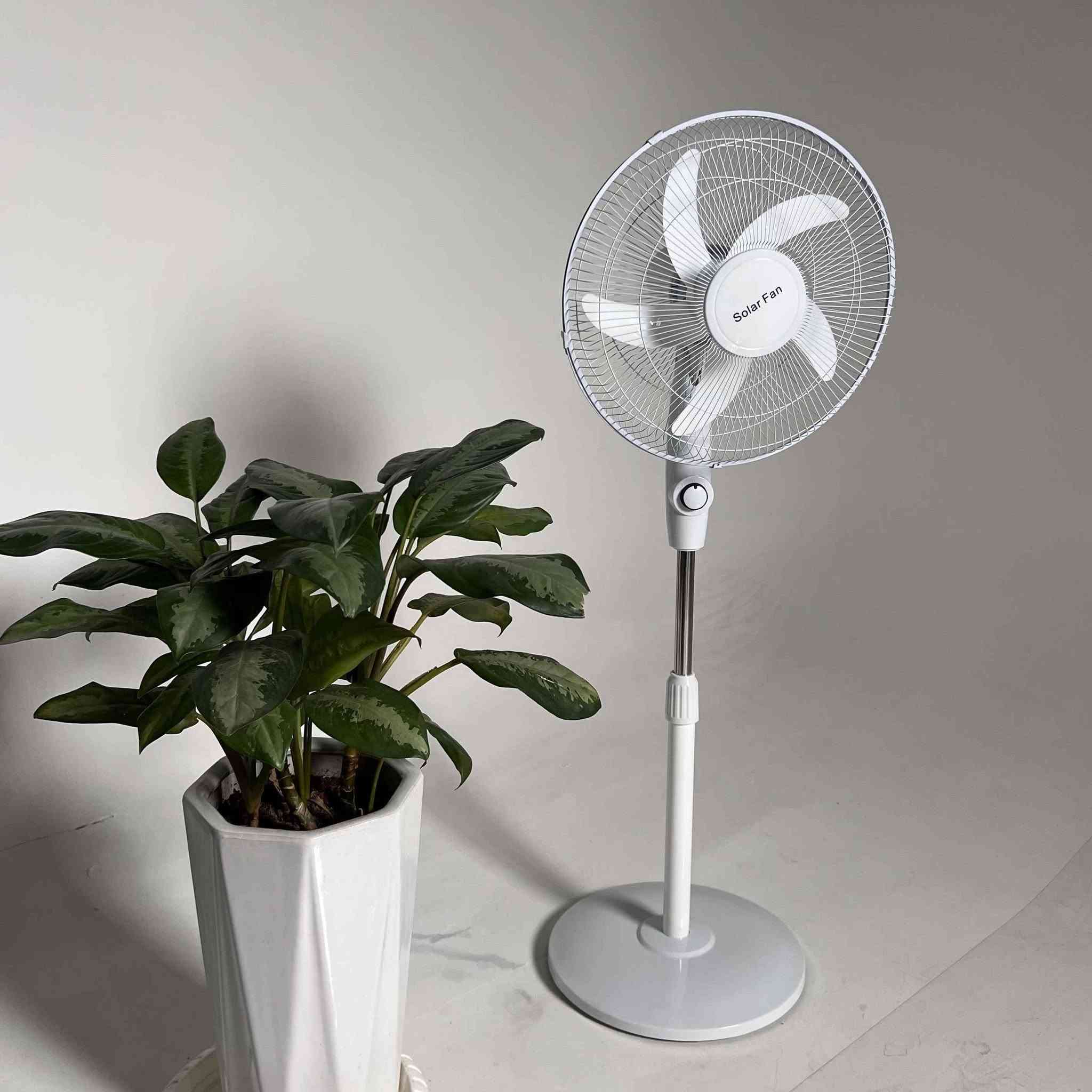 🌬️☀️ هواء منعش بأي مكان!

مروحة شمسية لاسلكية تشتغل بدون كهرباء 💨
هادئة ومريحة للنوم 😴
ارتفاع قابل للتعديل 📏
خفيفة وسهلة الحمل 👜

انتعاش دائم بدون تعب! ❄️ بغداد, العراق


**إذا كنت صاحب هذا الإعلان وتريد حذفه لأي سبب، رجاءا أرسل رسالة إلى الدعم الفني**