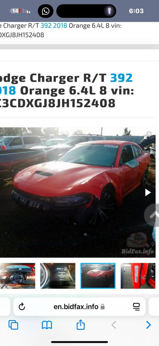 جارجر سكات باك 2018 برتقالي مميز
السيارة ماشية 95 الف كيلو 
الإضافات: 
اويل كاج كان الاصلي 
شوتة afe 
بلكات+نوزلات+ولف حماوة ريسنك 
السيارة مبرمجة يم البطل مصطفى ايكل 

صور الحادث بالمنشور بيها 4 قطع بدون دواخل ايرباك بردة فقط

سعرها21,000$ وبيها مجال

بدون مراوس بيع فقط

***********

ملاحظة السيارة بدون جكات
