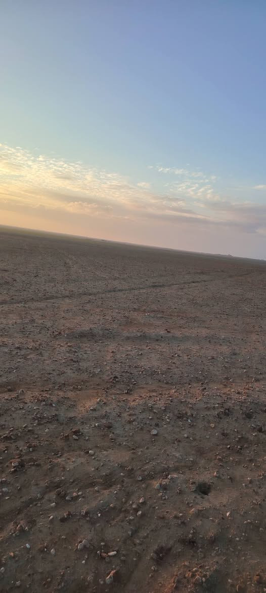 مكلف للنشر 
ارض زراعية للبيع
الموقع قرب قرية الهطور
واصلها تبليط
المساحة 50دونم
سعر الدونم 800الف وبي مجال
اتصال ***********
