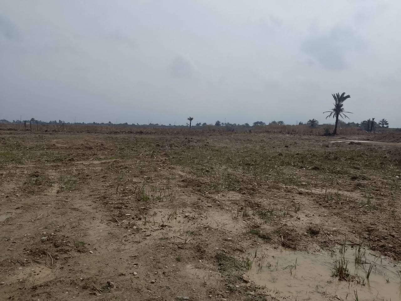 السلام عليكم 3دونم للبيع سعر الدونم 10مليون الموقع الشلالات قرب مقلع حجي صباح للستفسار الاتصال ع الرقم ***********
