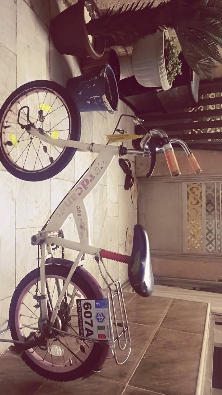 سلام عليكم بايسكل للبيع سعره 30الف قفل تواصل عله هاذ رقم***********
