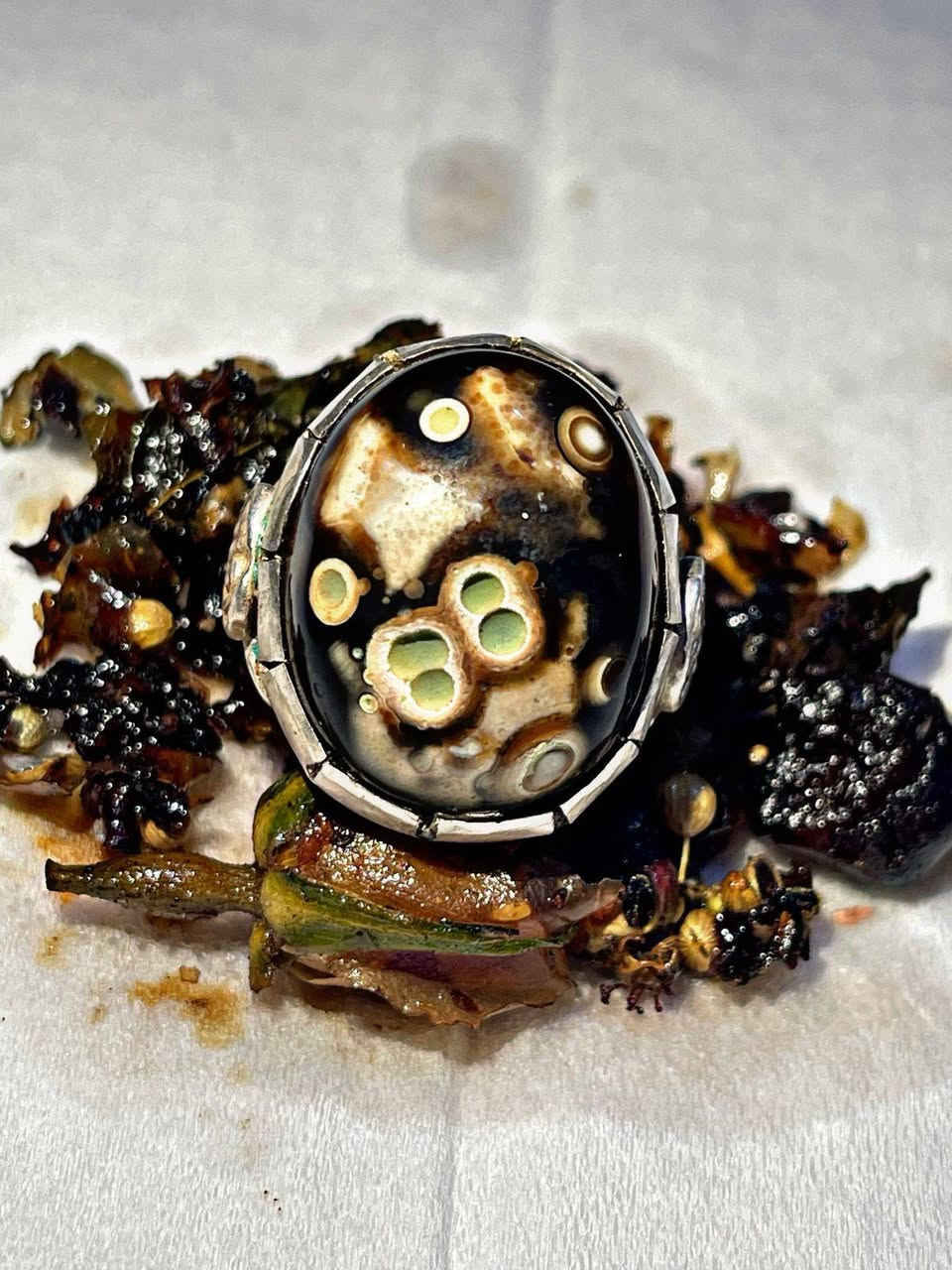 يا الله يا الله يا الله ( نفائس الداودي هندي عطف )
علوها بلصلاةة ع محمد وال محمد 🔥💙
#نحن_اهلها_اين_ما_كانت 
وحوش رععب فول يا فوول نوادر الداودي نوادر الزمان جوكر وفول روحانية عالية وخدمة عاليه🔥😈 
 
مشروط بضمان 
(محبة عامه نساء ورجال جداً قوية /جلب القلوب /تسيهلات عامة/جاة وجه وعقد لسان جدا قوي / دوائر دولة / منكل دواوين )

 كل تصاريف مفتوحة  شغل عععععام جوكر 🪨🔥🌪
من الياء ......للنون
سعر خاص واني خادم

اخوكم ايناس الموسوي 🔥
جبل الاحجار 🗻🌪🔥

للتواصل ***********
