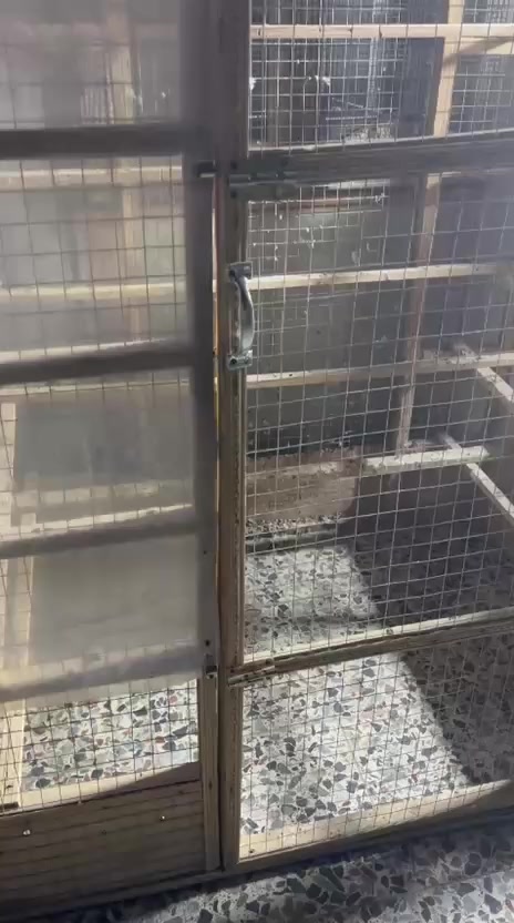 سلام عليكم
برج  للبيع ارتفاعه مترتين ول عرض متره ونص البرج بعده جديد سعره 80 وبي مجال عنواني بغداد البياع المعالف قرب السوق الي يريده يجي خاص او يتصل على هاذا الرقم ***********
