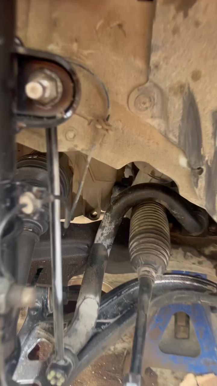 يدللون الاعضاء اكسبلور العراق 🇮🇶
***********
