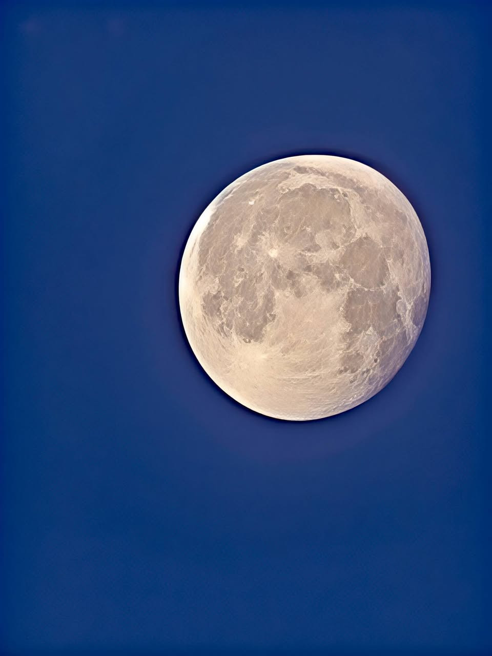 السلام عليكم ريملي 13 برو 5G ذاكره 512 عشوائيه 12+12 كامره فول  السعر 350


**إذا كنت صاحب هذا الإعلان وتريد حذفه لأي سبب، رجاءا أرسل رسالة إلى الدعم الفني**