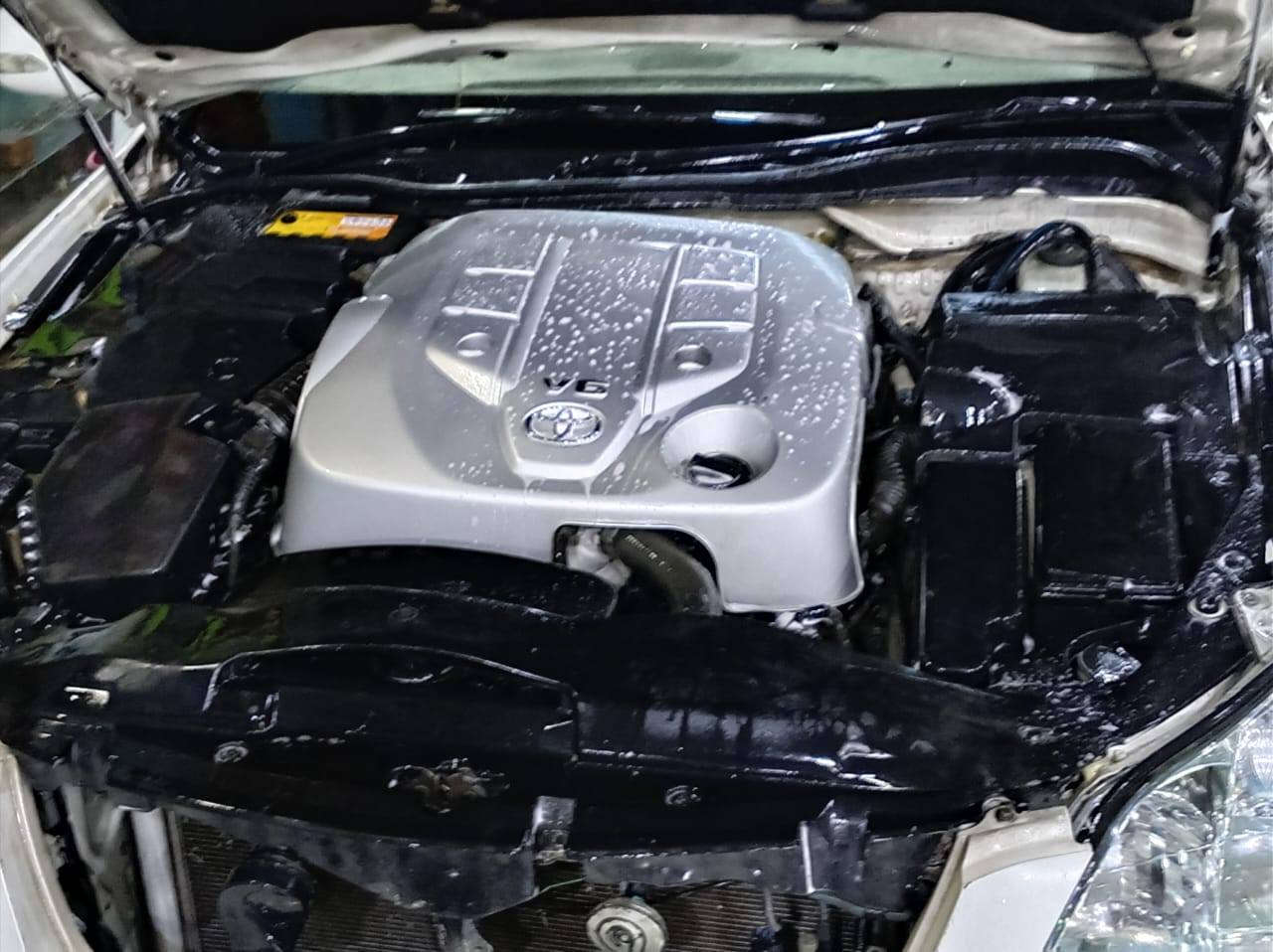 شاهينه كصه قماره مكينه وكير الكبار ست نمر كركوك ورقي سنويه عظم معممه بكل العراق السياره حتى اشارة الحجز مال كركوك مرفوعه ومعممه والكتاب عندي مكينه وكير جدد عوزها الدبلات فقط للبيع او المراوس السيارة صورها كدامكم شوف واقتنع واني خادم ٧٥ وبيها مجال ***********
سياره مامدفوعه ولا مفحوصه
