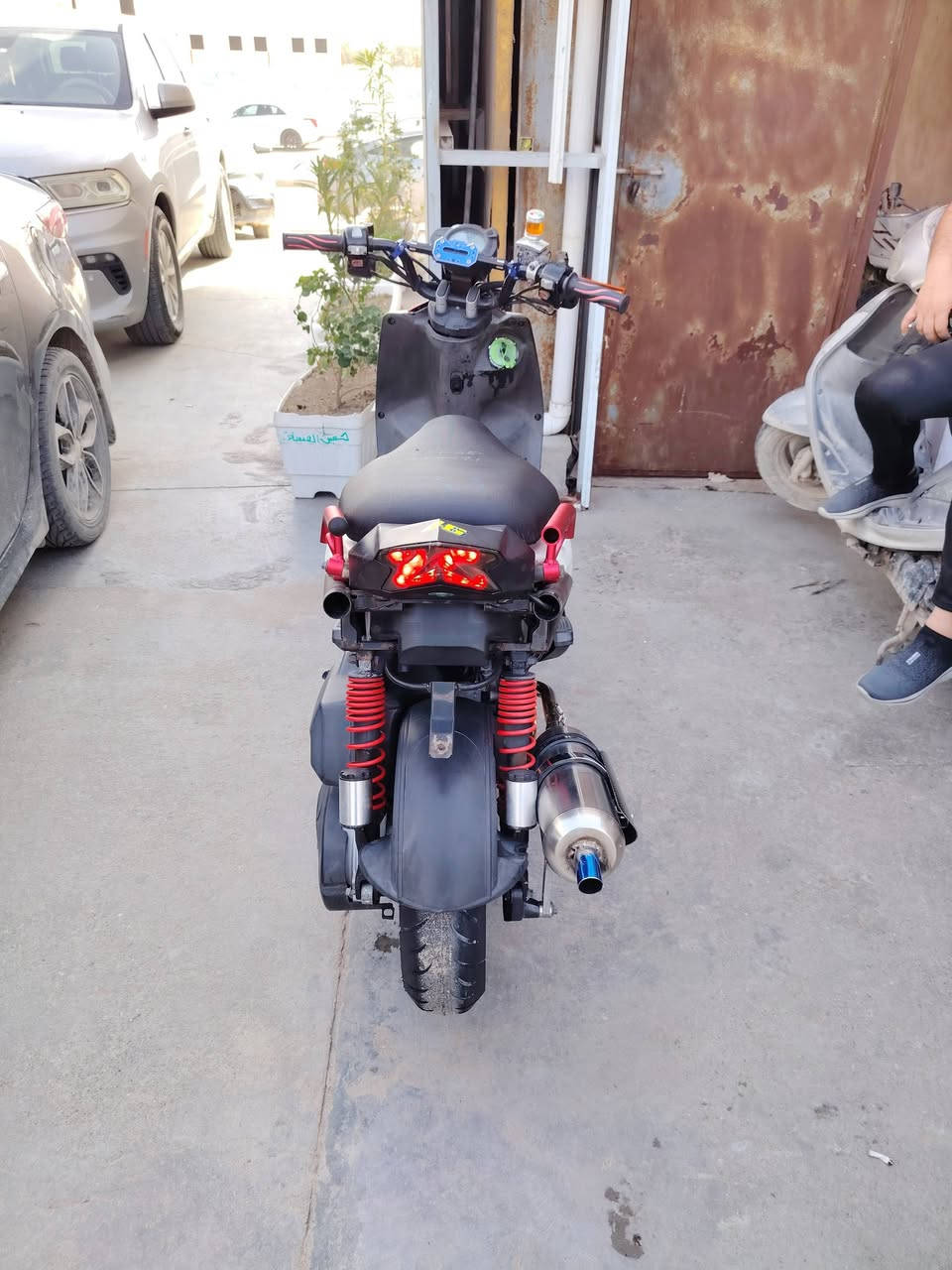 سكنس جبلي ياباني مكفولة رمبا مزودة بصرة ***********
