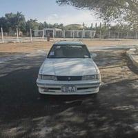 مارك عظم • ٩١ • رقم نجف