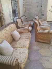 تخم للبيع السعر خاص  07872885246متواجد