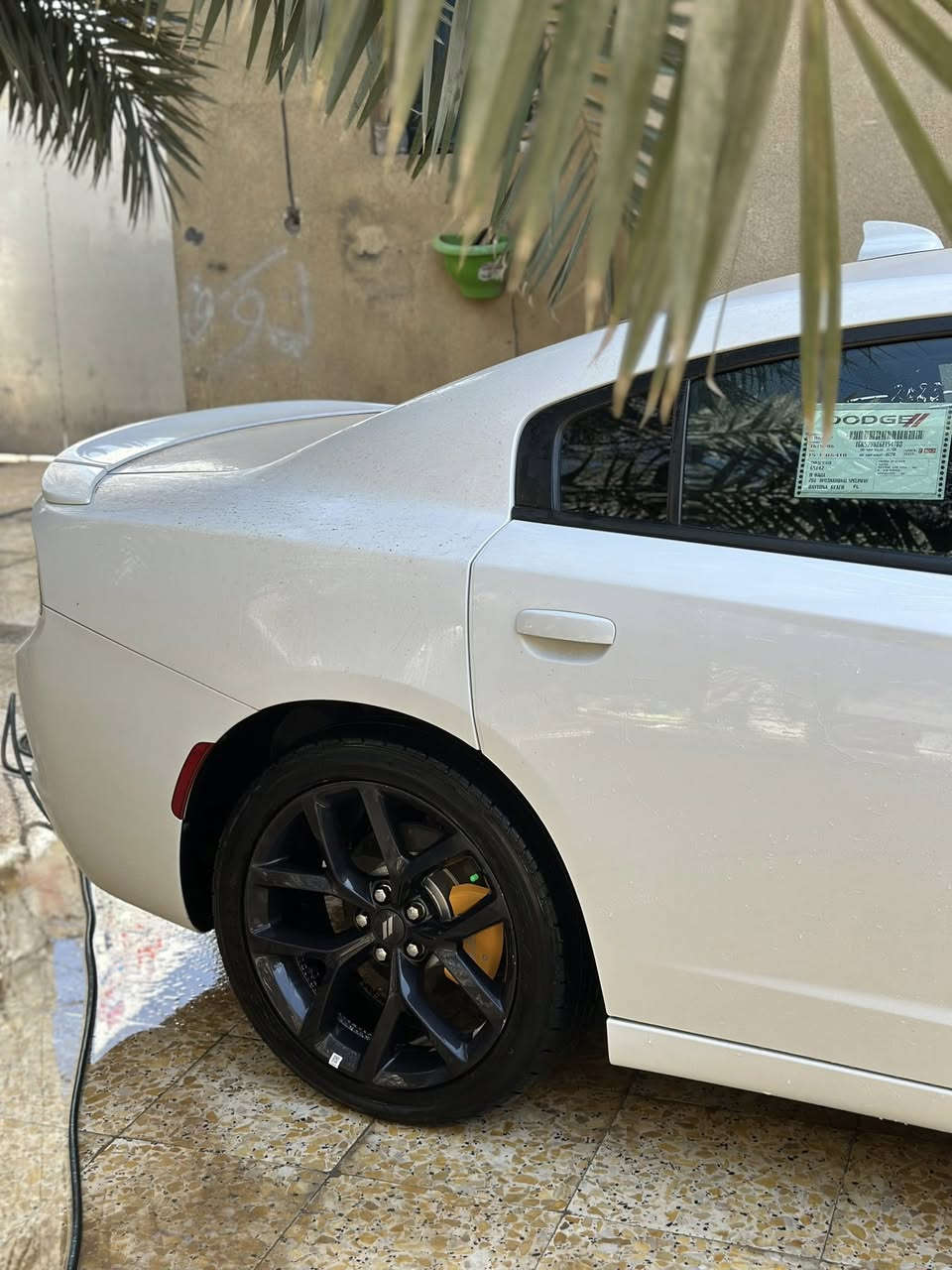 سلام عليكم ويل حجم 20 GT مكفول عواج وتصليح وبي تخم تاير صارله اسبوع من مشدود شرط وانتاج 25. سعر 550 الف وبي مجال لطيبين عنوان حله مركز


**إذا كنت صاحب هذا الإعلان وتريد حذفه لأي سبب، رجاءا أرسل رسالة إلى الدعم الفني**