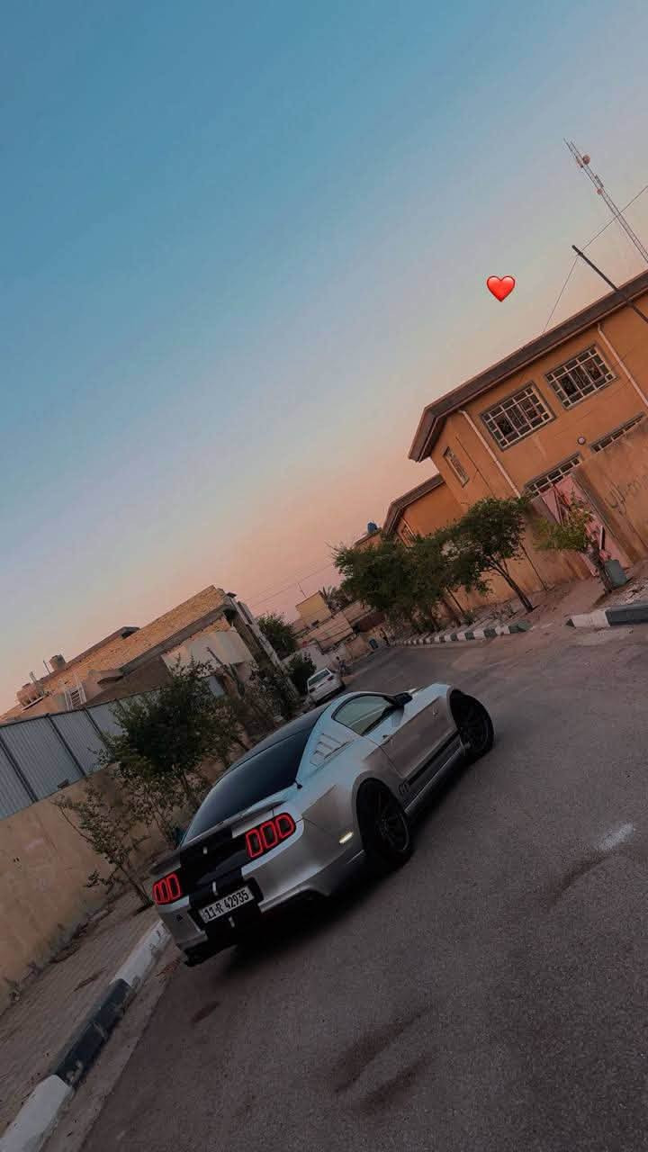 فورد موستنك موديل ١٤بريموم
دشبول سبع الوان 
داخل سبع الوان 
دوس ضوئيه 
داخل جلد 
لحيه ارتي ار 
دفيوزز 
جناح 
عدسه عين الشيطان 
لد احمر 
بك لايت وكاله 
اكزوز بوابه 
ويل فيرداه 
سكوبات خلفيه 
حادثه سرقه جاملغات اماميه 
وجاملغ خلفي معجون قليل
ابيع حزام  
باسمي 
كير جيد 
مكينه جديده 
تبريد 
حداديه جديده 
باسمي تحويل ثاني يوم هزه جديده 
نقصه شغلات بسيطه كلش ميكلفن ١٥٠الف
مكاني كربلاء 
***********

متواجد علنت 
معجبك المنشور عوفه تولي
