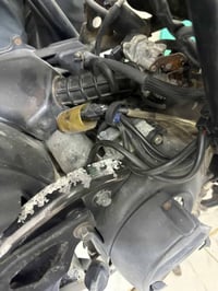 جبلي  للبيع بلاديه 750 وبيه مجال‏‪07700668822‬‏